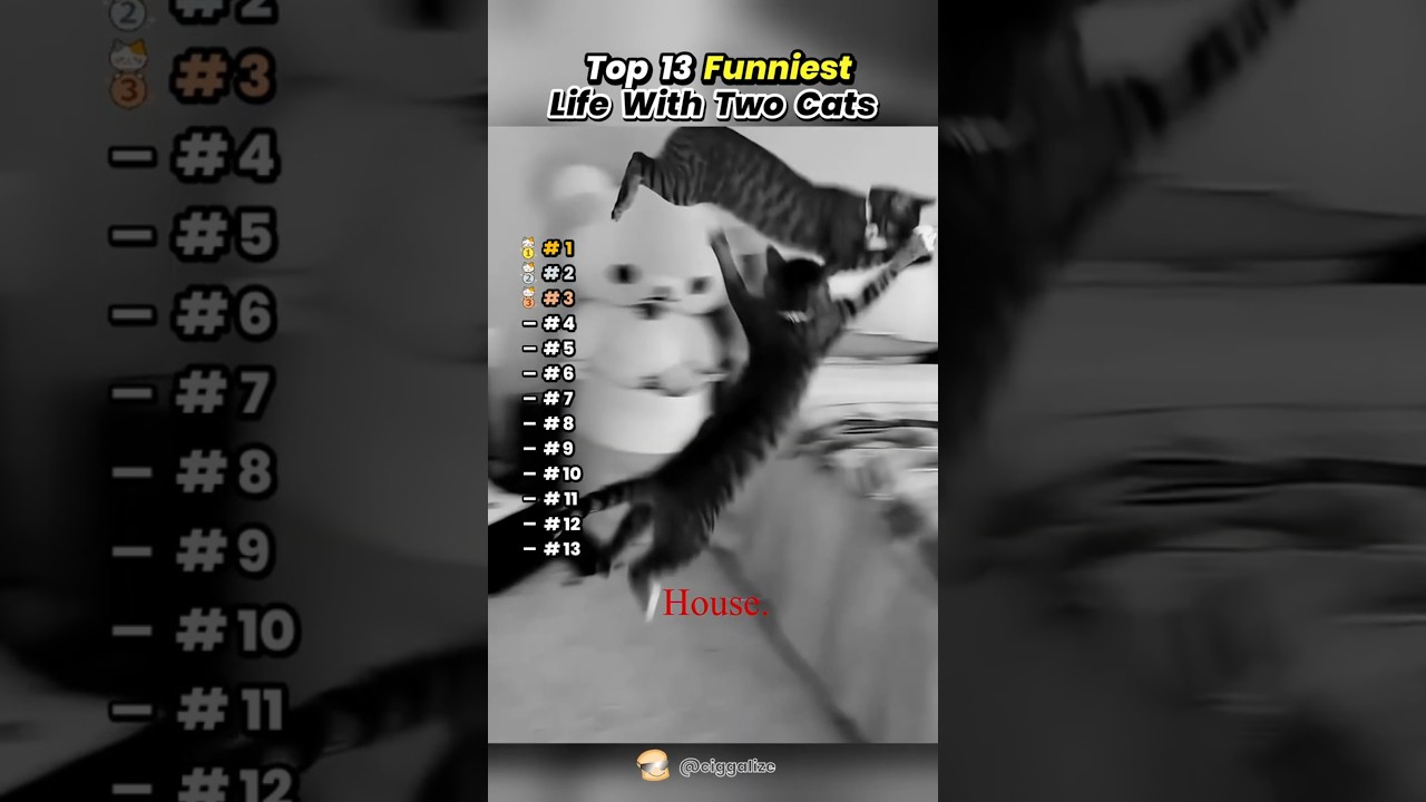 Latest Title & Thumbnail