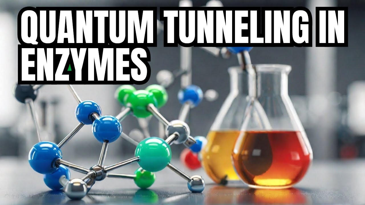 Квантовое туннелирование в ферментах: ключ к эффективности жизни?