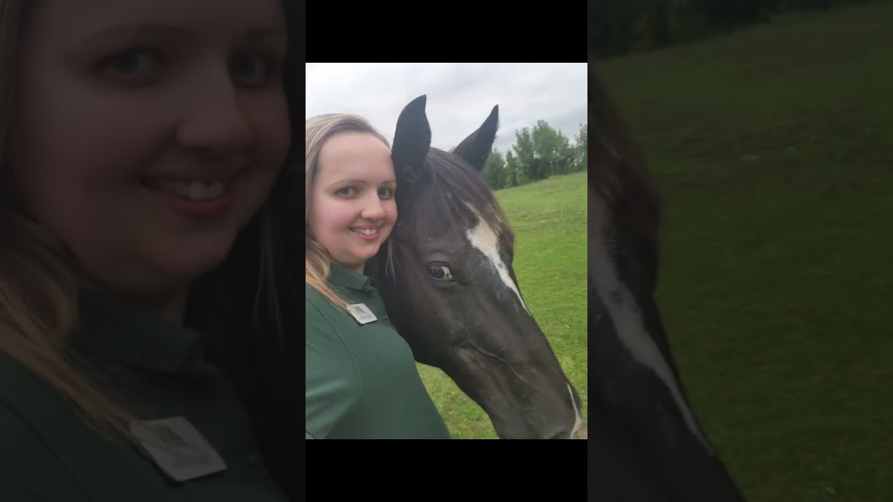 Goodbye 2025, Now Its The Year Of The Horse