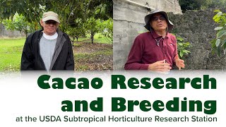 Cacao Research and Breeding at SHRS
Cacao (Theobroma cacao) is the important crop that gives us chocolate! Learn about a few of the of the incredible cacao research facilities and projects at the Subtropical Horticulture Research Station (SHRS) from research geneticist Dr. Osman Gutierrez and technician Mike Winterstein.
The SHRS is located in Miami, Florida and is an important part of the U.S. National Plant Germplasm System (NPGS).
Funding for this video was provided by USDA-Agricultural Research Service, with additional support from Colorado State University and USDA-NIFA-Higher Education Challenge Grant (2020-70003-303930). USDA is an equal opportunity provider, employer, and lender. Cacao Research and Breeding at SHRS