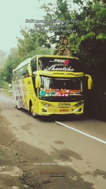 STORY WA BUS ZHIFARA,kata kata keren 30 detik#shortvideo #busmaniaindonesia #story #shorts