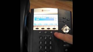 2- Polycom 450 Display & Keys