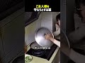 ご主人様を守ろうとする猫