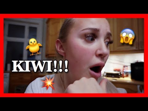VLOGMAS DAG 3 - Fikser buret til Kiwi+♡ - YouTube