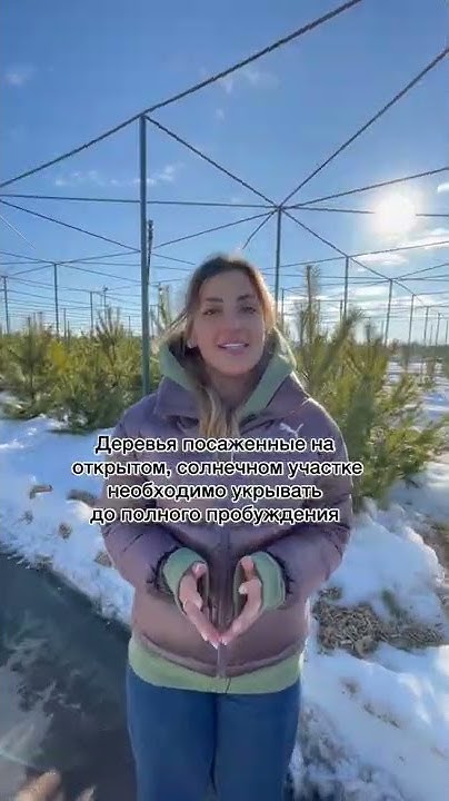 🌲 Это вернет ТУЕ зеленый цвет после зимы - YouTube