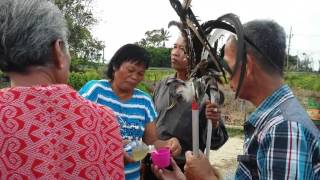 Gawai Kelingkang Manang Part 1. Gawai Kelingkang Manang Part 1.