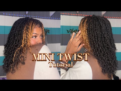 Mini Twist On Natural 4c/4b Hair.