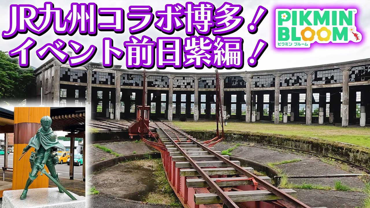 【ピクミンブルーム】JR九州コラボ博多！イベント前日紫編！【Pikmin Bloom】