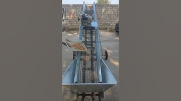 Double chain corn cob machine. Excess impurities are omitted. Rotten particles.