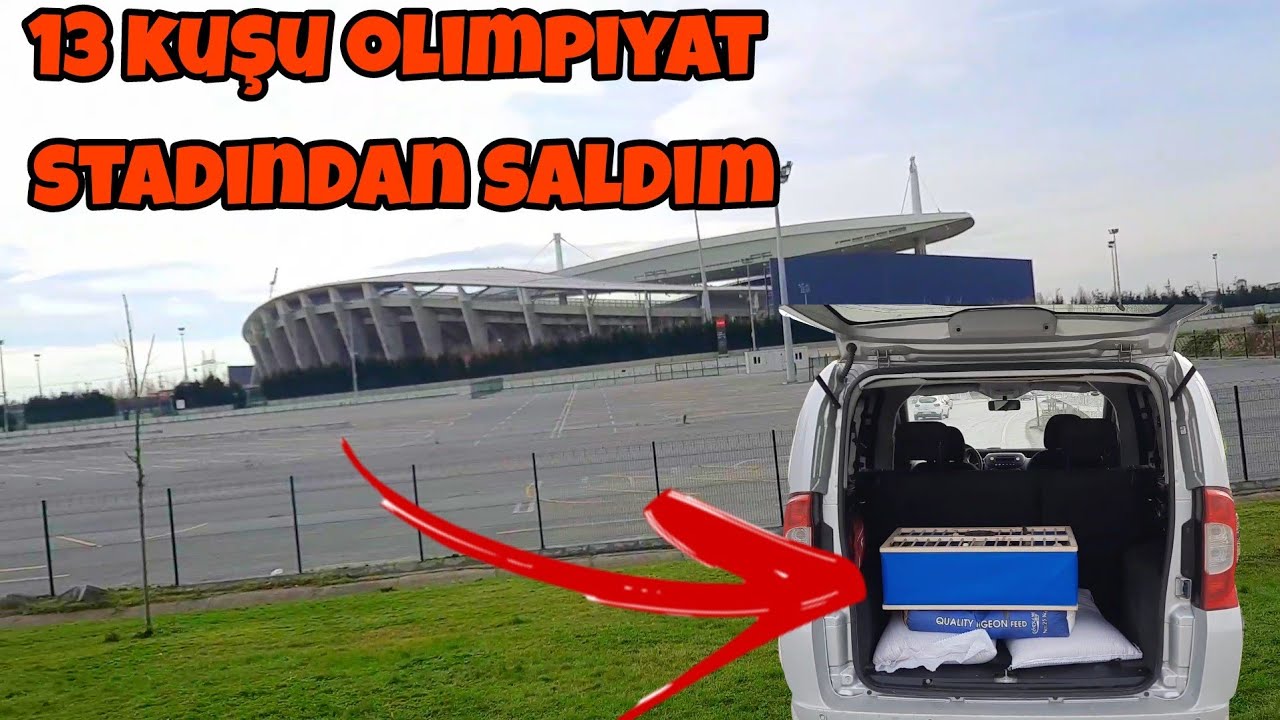 POSTA GÜVERCİNLERİMİ UZAKTAN SALDIM ( GERİ GELDİLERMİ)