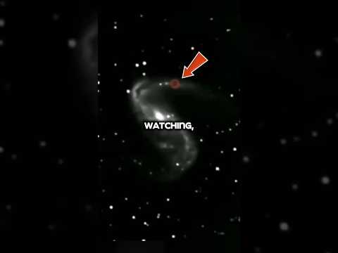 What you’re watching