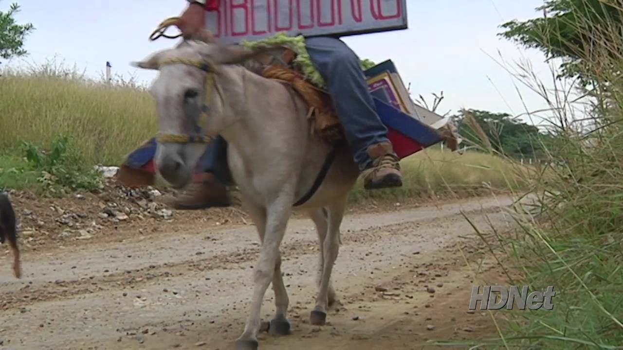 Four-Legged Library: Books by Burro