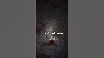 القارئ : عبد الرحمن مسعد ﴿ هُوَ الَّذِي أَنزَلَ السَّكِينَةَ فِي قُلُوبِ الْمُؤْمِنِينَ﴾[ الفتح: 4]
