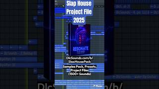 Slap House Project File (Alok, R3HAB, VIZE, Dynoro) | 1500  Samples, Presets, #alok #r3hab #dynoro