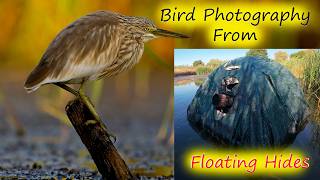 Floating Hide Bird Photography in Bulgaria with the OM-1 Mk2 and the 150-400mm Lens. Part 1.
