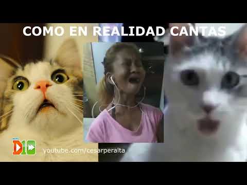 Como crees que