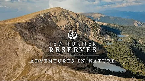 Viva a Natureza nas Reservas Ted Turner!