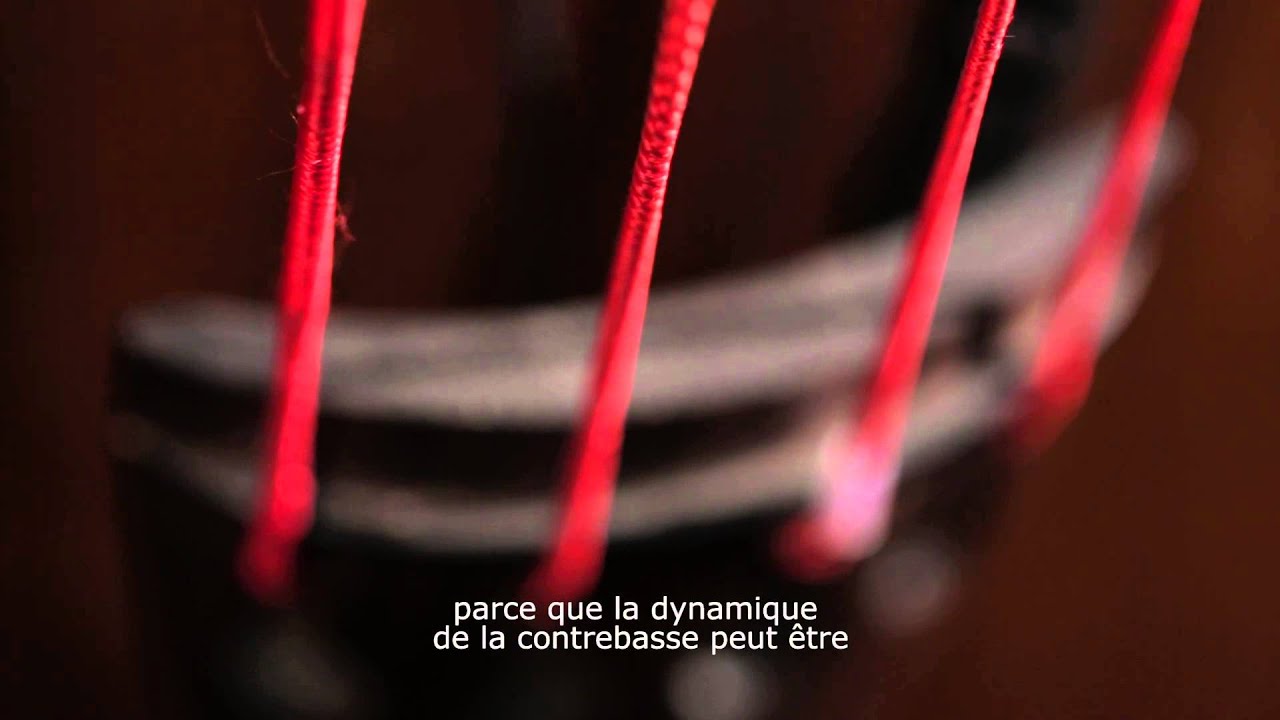unesco stands for Instruments - Avishai Cohen | Montreux Jazz Festival 2015