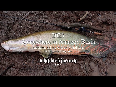 2023 Somewhere in Amazon Basin - YouTube