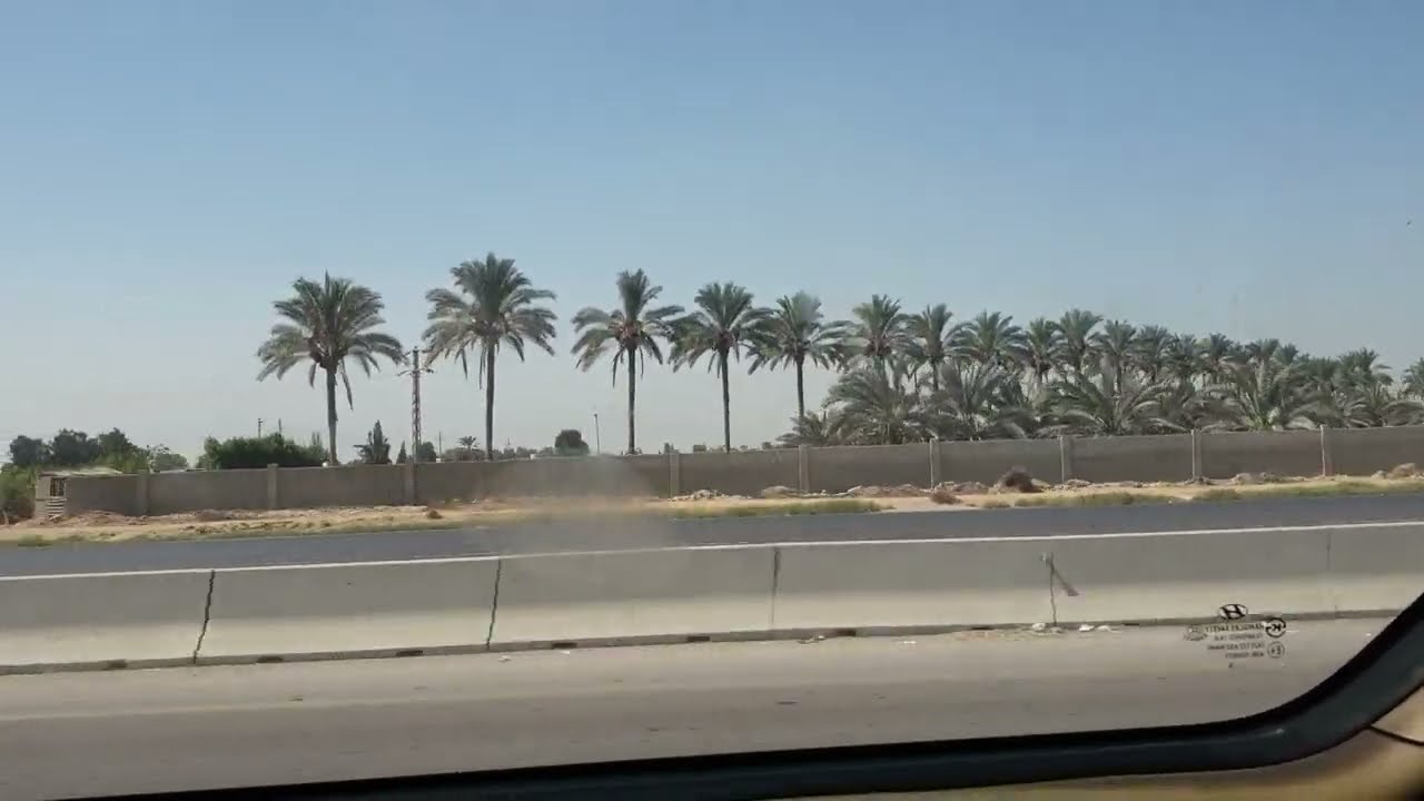 Palm plantations20251002 1140521