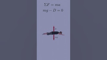 Terminal Velocity in 60 Seconds  #physics #mechanics