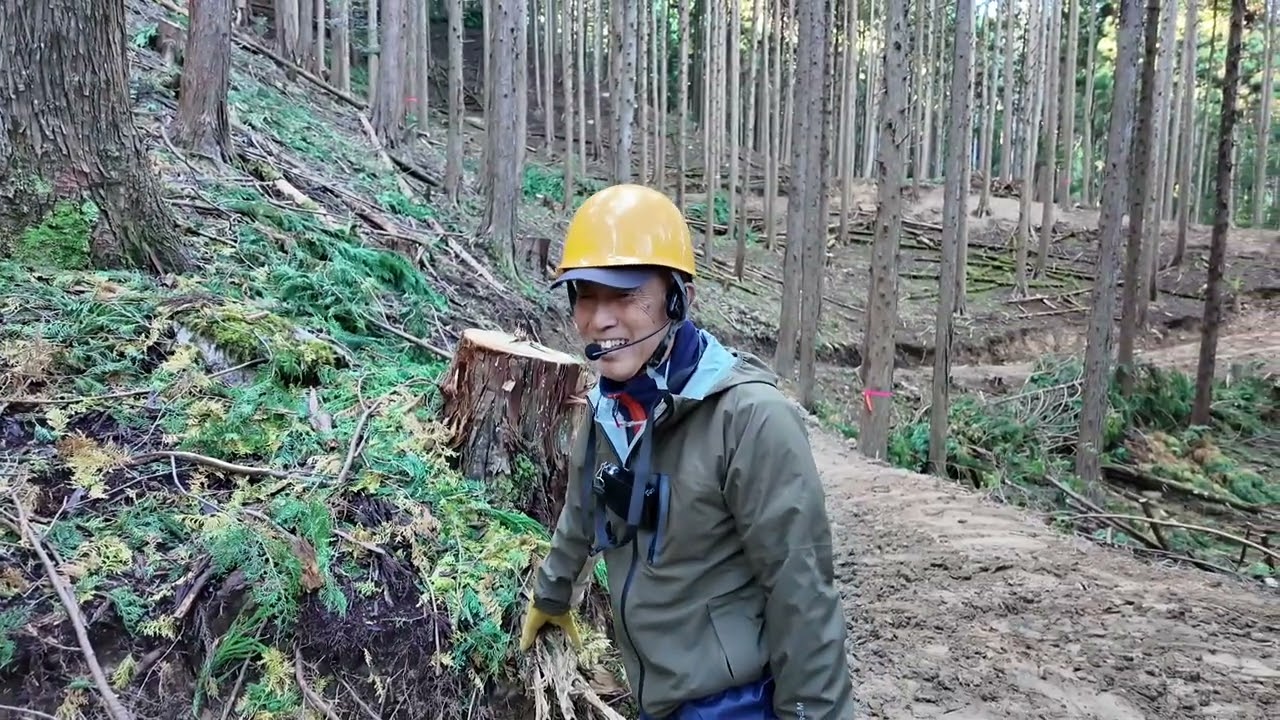 2024朝来市自伐型林業研修_第4回_実習1日目_開設済作業道のポイント解説