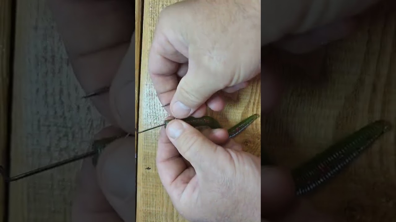 Basic Texas Rigging a stick worm