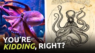 Evolutionists Predict Octopuses… Will Rule the World? @answersingenesis
