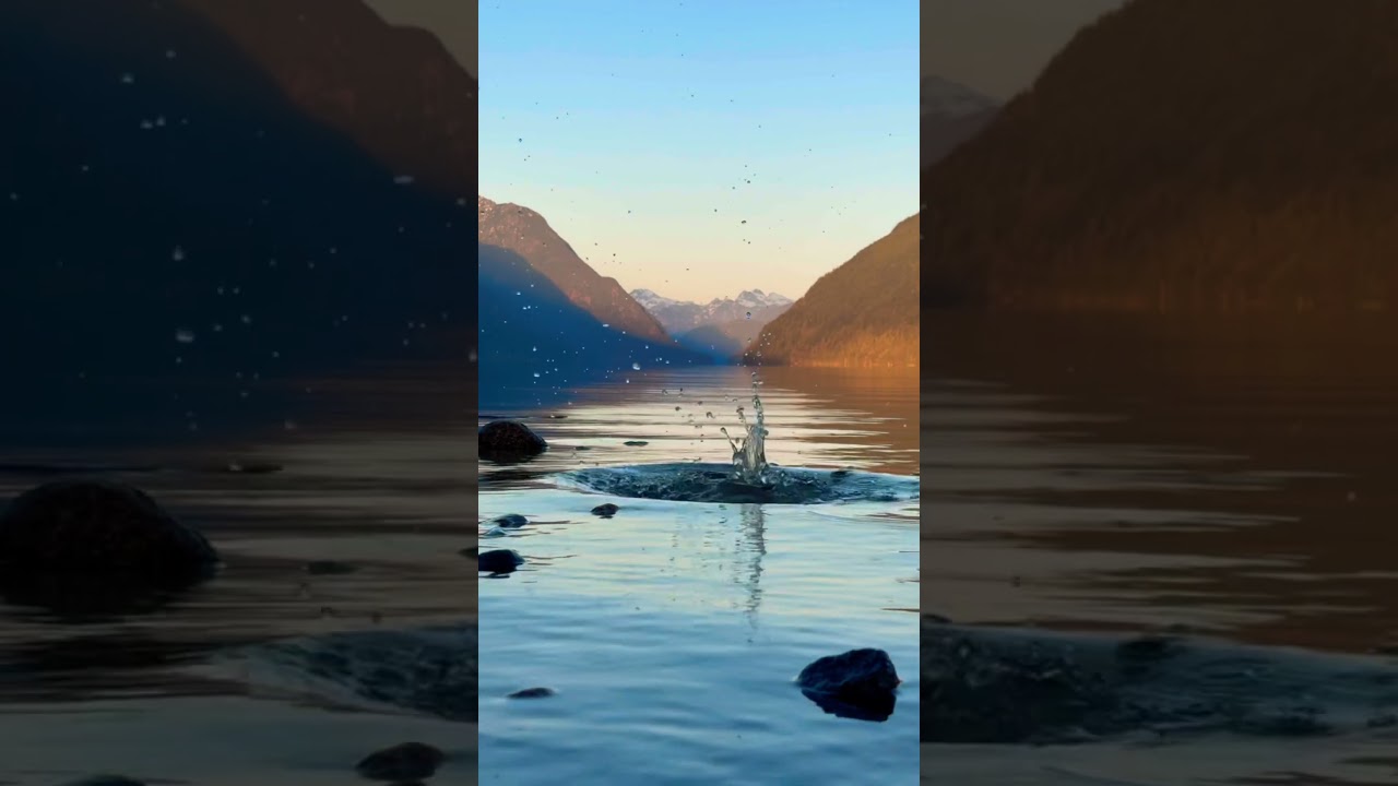 Serenity, in nature. 🥰