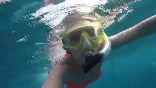 Snorkeling in Hawaii (LA LA LINNEY)