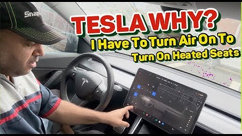 Problem with TESLA heated seat control  What do you think?