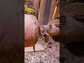 This is the kind of work most people never see, but it is what keeps infrastructure moving.