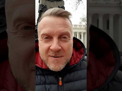 Стоїть верба поблизу лісу 