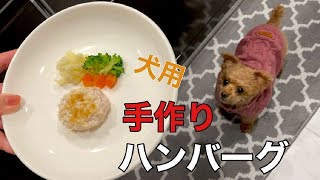 手作り犬ご飯 バレンタインデーに手作りの犬用ハンバーグをプレゼントしたら 喜びが絶頂に達したトイプードル Youtube