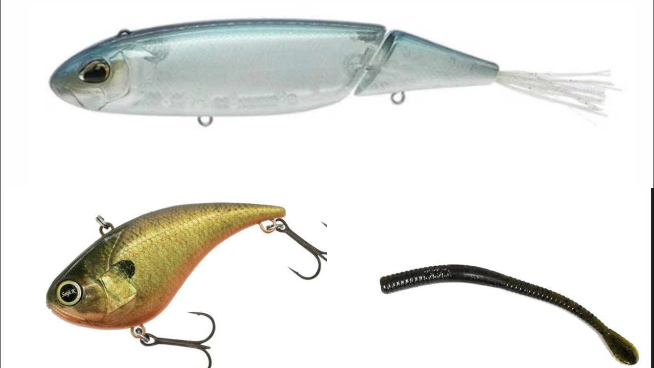 メガバスのマットタイガーって釣れるよね Megabass cosmetic MAT TIGER