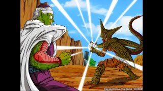 Piccolo Video