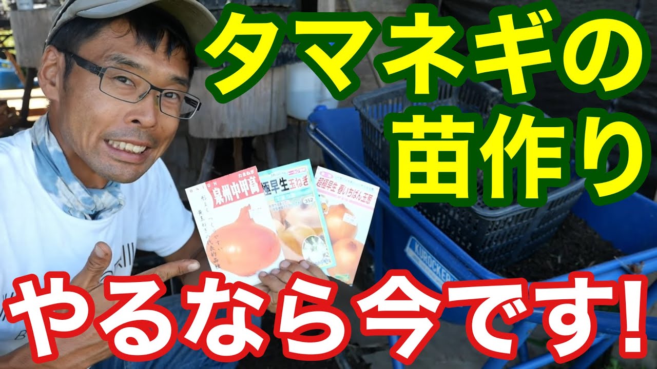 【徹底解説】無農薬での玉ねぎの苗作り･培養土作りから種蒔き育苗のポイントについて《家庭菜園/自給農/タマネギ》