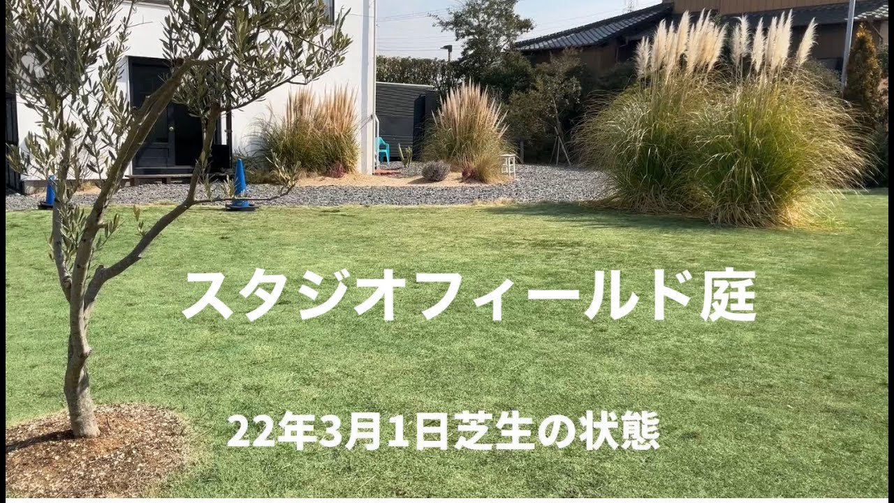緑の芝生 22年3月1日 スタジオフィールド庭 Youtube