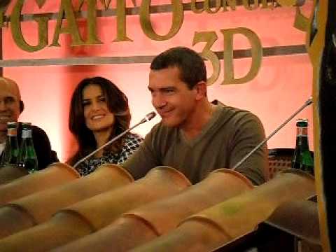 Banderas Gatto Stanco