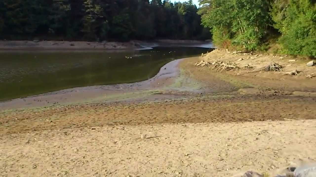 Eginger ( Rohrbach ) Stau- See bei der Trockenlegung