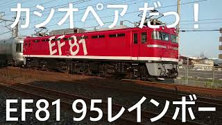 【日曜夕方のラッキー２】EF81 95 + カシオペア が来た！ 宇都宮駅 から上り方面の直線