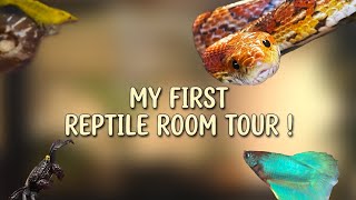 My first reptile room tour ! #wildlife #animals #asia #cornsnakes #aquascaping #terrarium #reptiles