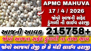 જોવો આજની સફેદ ડુંગળી ની લાઈવ હરાજી | APMC MAHUVA | આજની આવક 215758+ થેલા આખી | screenshot 4