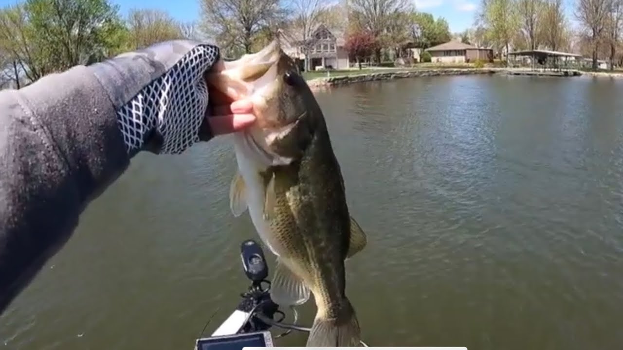 First Lake Viking Trip of 2022! Bass Fishing on a Windy Day with Great Numbers!