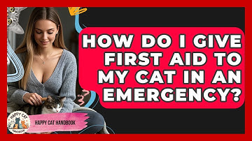 How Do I Give First Aid To My Cat In An Emergency? - Happy Cat Handbook
