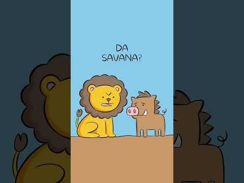 Vídeo: Interessante sobre os animais. Quem é mais rápido: um leão ou um alce?