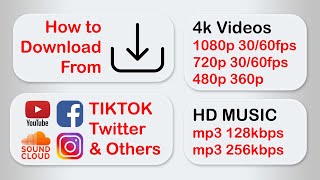 How to Download Videos & Music from YouTube, Facebook, Instagram, SoundCloud, Tiktok & Many More! screenshot 5