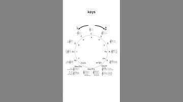 The Circle of Fifths EXPLAINED in 90 Seconds! 🎵 #songwritingtips  #songwritertheory #music
