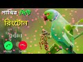 Bird Call Ringtone | Bird Sure Ringtone | Bird Ringtone | পাখির ডাকে রিংটোন |পাখির ডাকের সুরে রিংটোন