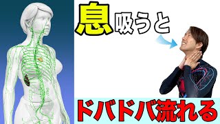 全身ダイエットに効く〇〇呼吸【リンパ流れて翌朝激やせ】